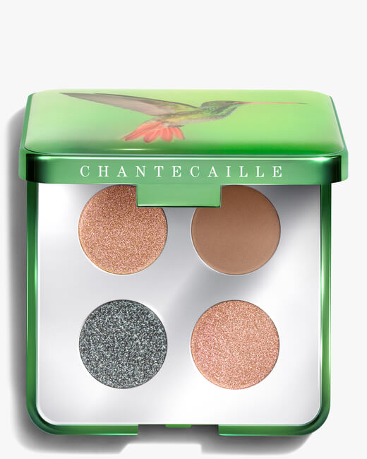 Warm Hummingbird Quartet