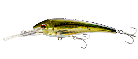 Nomad-DTX Minnow