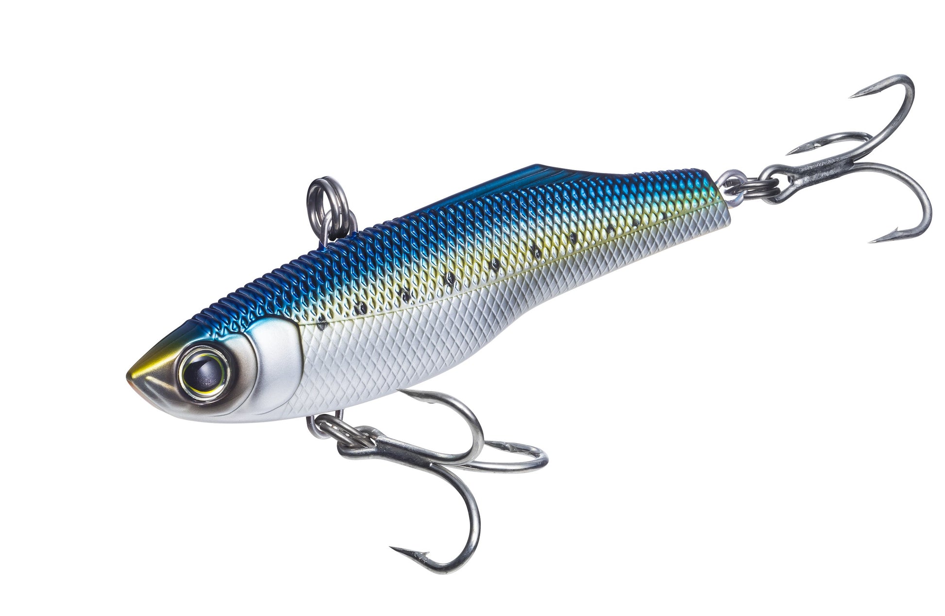 Chrome Sardine