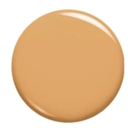 L'Oreal Paris Makeup Infallible Up to 24 Hour Fresh Wear Foundation